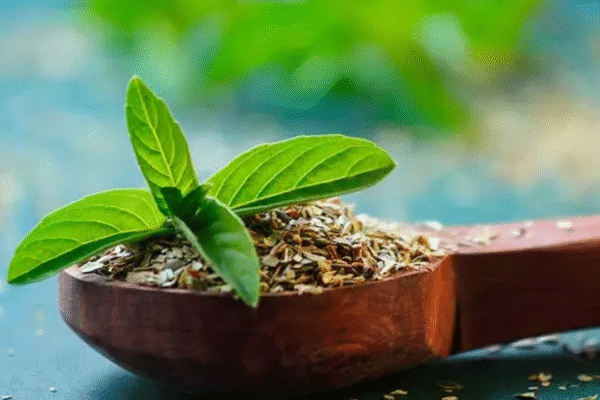 3 Leaves, 40 Minutes: Tulsi’s Power Against Stress Is Real