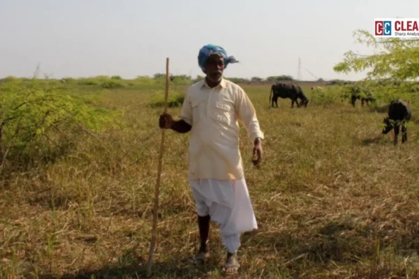 Semi-arid grassland ecosystem in India supporting soil health and climate resilience