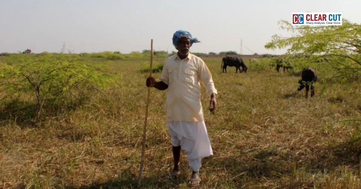 Semi-arid grassland ecosystem in India supporting soil health and climate resilience